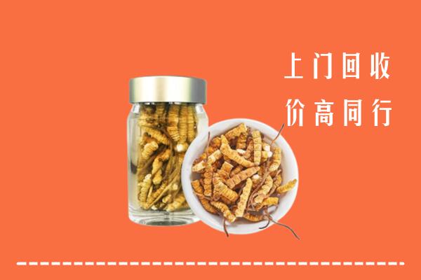 阿坝高价回收冬虫夏草